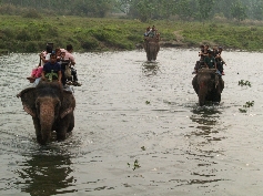  Elefanten im Fluss