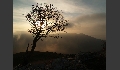 P1019223.JPG