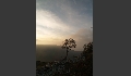 P1019241.JPG