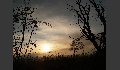 P1019248.JPG