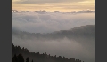 P1019320.JPG