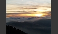 P1019336.JPG