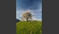 Farbenspiel
