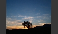 Abendstimmung