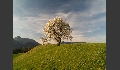 Impressionen