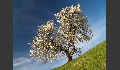 Impressionen mit Polfilter