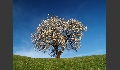 Impressionen