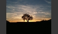 Abendstimmung