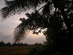 So romantisch kann ein Sonnenuntergang in den Backwaters sein