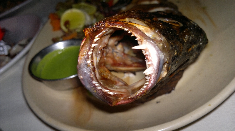 Diesen Fisch hatte ich extra zum letzten Abendessen bestellt