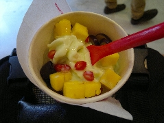 Frozen Yoghurt