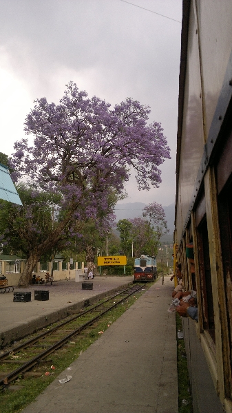 Malerischer ausblick aus dem Waggon der Kangra Valley Bahn
