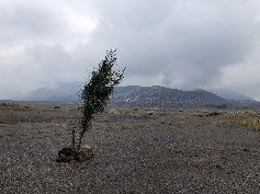 Caldera 