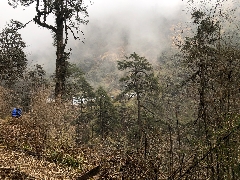 Dem Ziel irgendwie nah