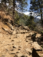 Treppen 