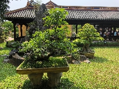Garten in der purpurnen Stadt 