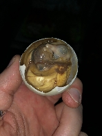 Balut