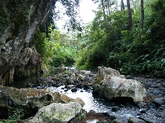Verträumter Fluss