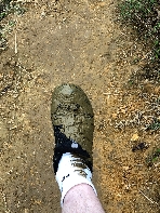 Reisfeld am Schuh