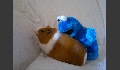 p20120608343.JPG