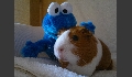 p20120608346.JPG