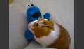 p20120608348.JPG