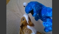 p20120608349.JPG