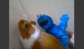 p20120608351.JPG