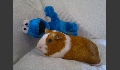 p20120608359.JPG