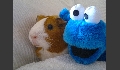 p20120608362.JPG