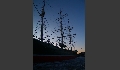 Geisterschiff im Hafen von Hamburg