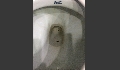 4BD5637D-FA2E-41BF-A040-C51B4D438482.JPG
