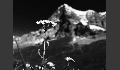Blume mit Eigernordwand
