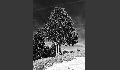 1a98100615702a24a927d28420049044.jpeg