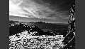 afff320c184327eacbe056bdda083344.jpeg