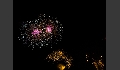 Sommernacht-24.JPG
