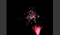 Sommernacht-26.JPG