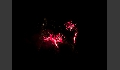 Sommernacht-27.JPG