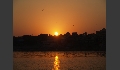 Drachen über Varanasi