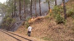 Der Waldbrand auf der Strecke der Kalka Shimla Bahn