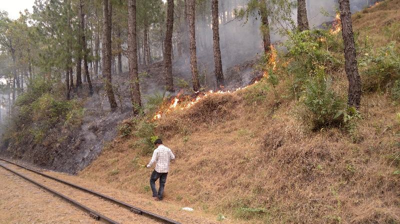 Der Waldbrand auf der Strecke der Kalka Shimla Bahn