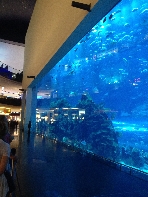 Ein kleines Aquarium in mitten des Einkaufzentrum