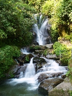  Wasserfall in Darjeeling