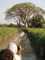  Im Wasserkanel des Reisfeldes