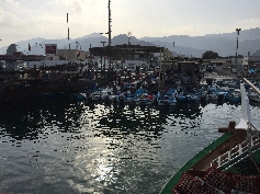 Fischmarkt am Hafen